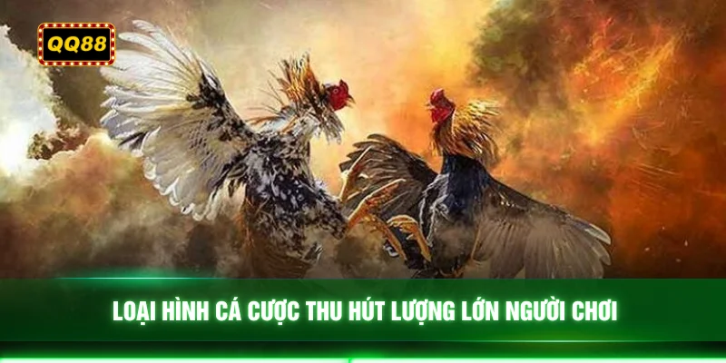 Loại hình cá cược thu hút lượng lớn người chơi