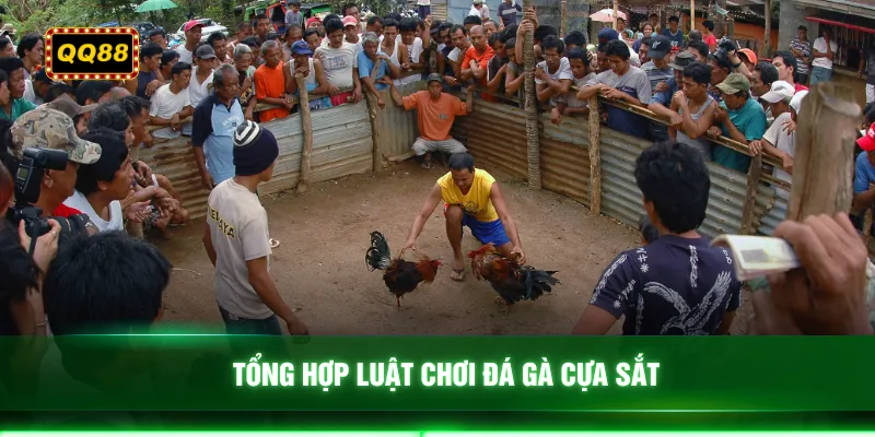 Tổng hợp luật chơi đá gà cựa sắt